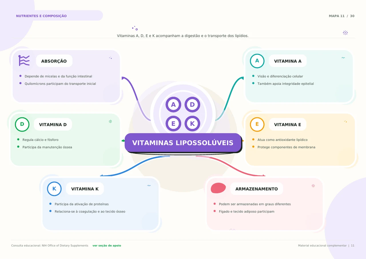 Mapa mental real sobre vitaminas